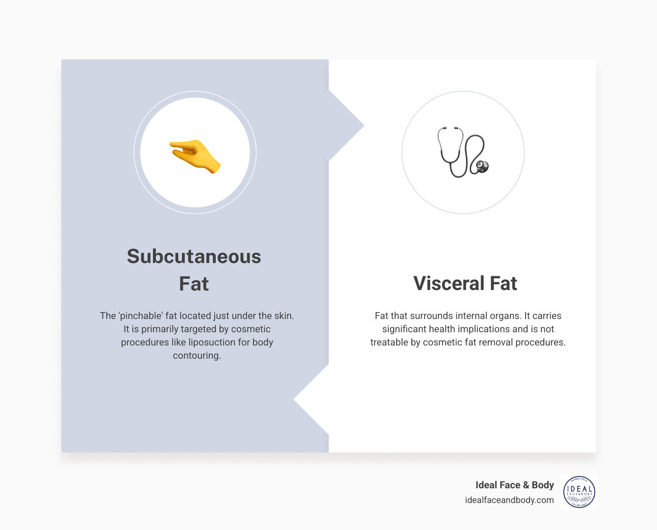 infographic showing the difference between subcutaneous fat located just under the skin and visceral fat surrounding internal organs, with treatment options for each type - ab fat removal infographic comparison-2-items-formal infographic showing the difference between subcutaneous fat located just under the skin and visceral fat surrounding internal organs, with treatment options for each type - ab fat removal infographic comparison-2-items-formal