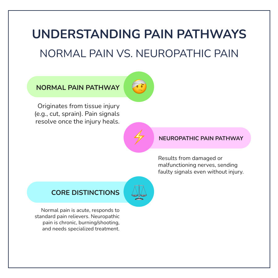 Infographic comparing normal pain pathway (tissue injury → nerve signal → brain perceives pain) versus neuropathic pain pathway (nerve damage → faulty signals → brain perceives pain without injury). Shows key differences: Normal Pain (short-term, responds to standard pain relievers, resolves when healed) vs Neuropathic Pain (chronic, requires specialized treatment, burning/shooting sensations, may persist after healing) - what is neuropathic pain infographic infographic-line-3-steps-colors