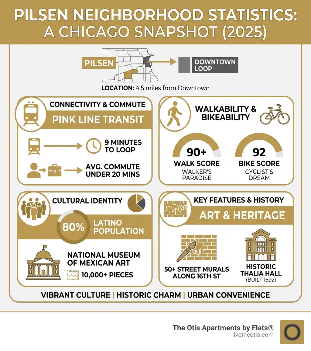 Infographic showing Pilsen neighborhood statistics - Living in Pilsen Chicago infographic 