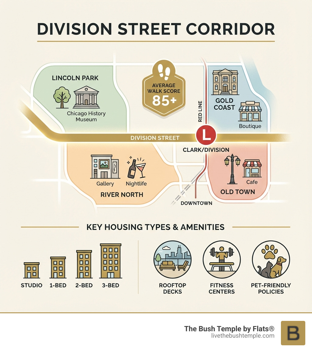 Infographic showing Division Street neighborhood boundaries, major transit stops including Clark/Division Red Line station, nearby attractions like Chicago History Museum, average walk scores of 85+, and key housing types from studio to three-bedroom units with common amenities like rooftop decks, fitness centers, and pet-friendly policies - apartments near division street infographic 