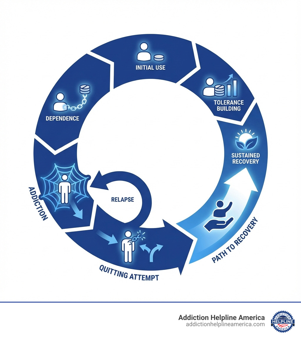Infographic showing the cycle of addiction including stages: initial use, tolerance building, dependence, addiction, attempted quitting, relapse, and the path to recovery with professional intervention - andy dick suffers apparent overdose infographic 