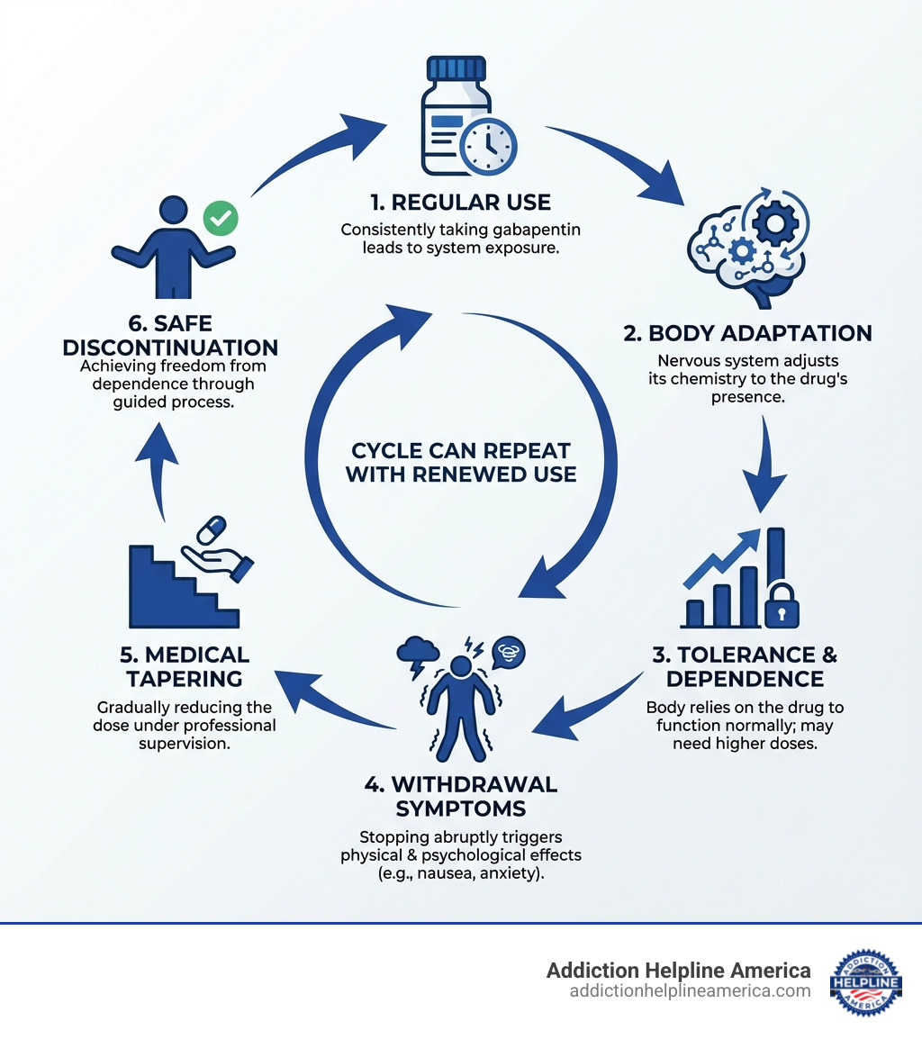 Infographic showing the cycle of gabapentin physical dependence: Regular use leads to body adaptation, which leads to tolerance and dependence, which leads to withdrawal symptoms when stopping, which can be managed through medical tapering back to safe discontinuation - gabapentin withdrawal symptoms infographic 