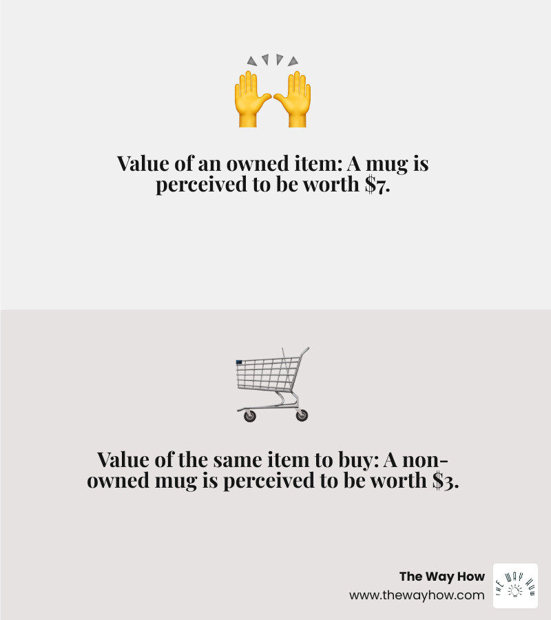 Infographic showing the endowment effect: A split image with a person on the left holding a coffee mug labeled "What I own" with a price tag of $7, and the same person on the right looking at an identical mug labeled "What I'd pay" with a price tag of $3. An arrow between them shows the gap, labeled "The Endowment Effect: We value what we own 2x more than identical items we don't own" - Endowment effect marketing infographic 2_facts_emoji_grey Infographic showing the endowment effect: A split image with a person on the left holding a coffee mug labeled "What I own" with a price tag of $7, and the same person on the right looking at an identical mug labeled "What I'd pay" with a price tag of $3. An arrow between them shows the gap, labeled "The Endowment Effect: We value what we own 2x more than identical items we don't own" - Endowment effect marketing infographic 2_facts_emoji_grey