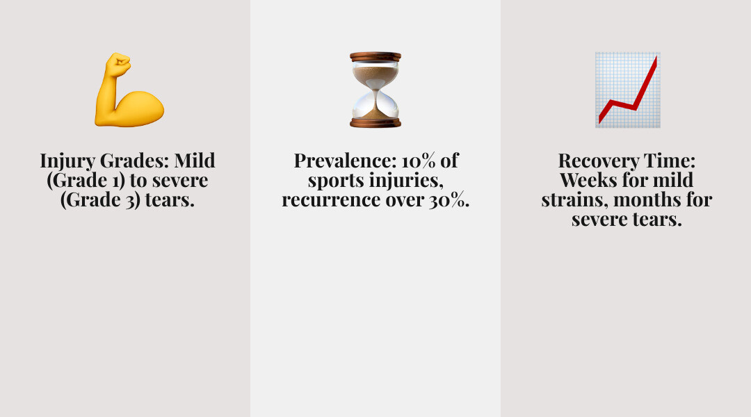 infographic showing hamstring muscle anatomy with labels for semitendinosus semimembranosus and biceps femoris muscles, indicating common tear locations at the muscle belly and tendon attachments, with severity grades 1 through 3 illustrated - ripped hamstring muscle infographic 3_facts_emoji_grey