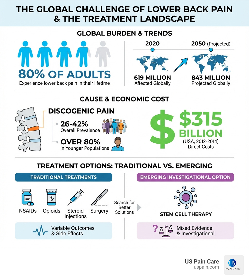 Infographic showing statistics: 80% of adults experience lower back pain in their lifetime, 619 million people affected globally in 2020, projected 843 million by 2050. Discogenic pain prevalence 26-42% overall, over 80% in younger populations. Direct costs: $315 billion in the USA (2012-2014). Traditional treatments include NSAIDs, opioids, steroid injections, and surgery, with variable outcomes and side effects. Stem cell therapy is an emerging investigational option with mixed evidence. - are stem cells a viable treatment for lower back pain infographic Infographic showing statistics: 80% of adults experience lower back pain in their lifetime, 619 million people affected globally in 2020, projected 843 million by 2050. Discogenic pain prevalence 26-42% overall, over 80% in younger populations. Direct costs: $315 billion in the USA (2012-2014). Traditional treatments include NSAIDs, opioids, steroid injections, and surgery, with variable outcomes and side effects. Stem cell therapy is an emerging investigational option with mixed evidence. - are stem cells a viable treatment for lower back pain infographic