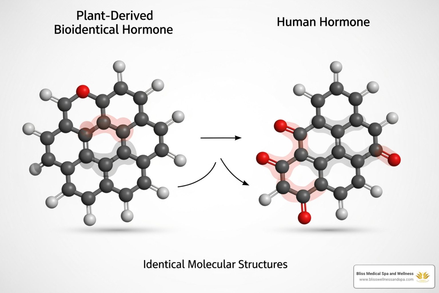 diagram showing the molecular structure of a bioidentical hormone compared to a human hormone - Bioidentical hormone optimization diagram showing the molecular structure of a bioidentical hormone compared to a human hormone - Bioidentical hormone optimization