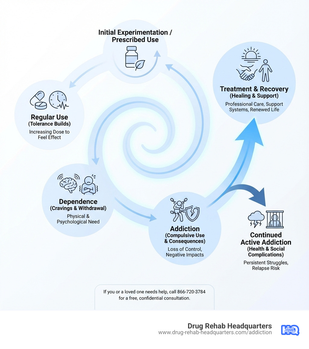 Infographic showing the cycle of addiction: Starting with initial experimentation or prescribed use, progressing to regular use as tolerance builds, developing into dependence with physical and psychological cravings, leading to addiction characterized by compulsive use despite consequences, followed by potential paths to treatment and recovery or continued active addiction with health and social complications - addiction infographic 