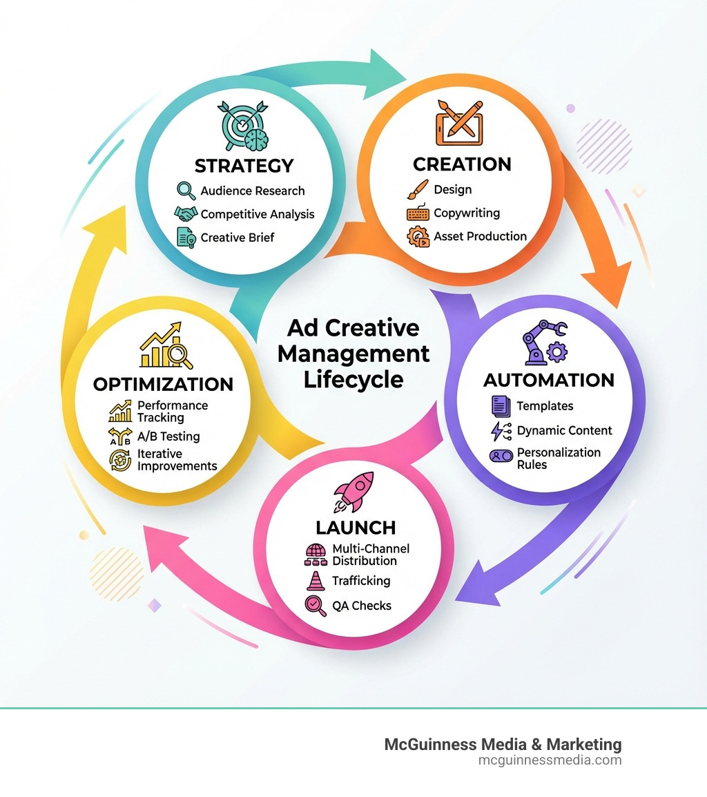 Infographic showing the ad creative management lifecycle with five connected stages: Strategy (audience research, competitive analysis, creative brief), Creation (design, copywriting, asset production), Automation (templates, dynamic content, personalization rules), Launch (multi-channel distribution, trafficking, QA checks), and Optimization (performance tracking, A/B testing, iterative improvements). Arrows connect each stage in a continuous cycle. - ad creative management infographic 