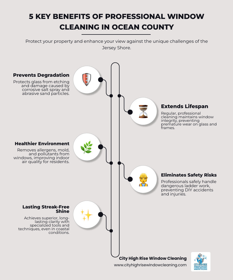 infographic showing five key benefits of professional window cleaning: prevents glass degradation from salt and sand, extends window lifespan through proper maintenance, removes allergens and improves indoor air quality, eliminates safety risks of DIY ladder work, and delivers streak-free results that last longer in coastal conditions - window cleaning ocean county nj infographic infographic-line-5-steps-elegant_beige infographic showing five key benefits of professional window cleaning: prevents glass degradation from salt and sand, extends window lifespan through proper maintenance, removes allergens and improves indoor air quality, eliminates safety risks of DIY ladder work, and delivers streak-free results that last longer in coastal conditions - window cleaning ocean county nj infographic infographic-line-5-steps-elegant_beige