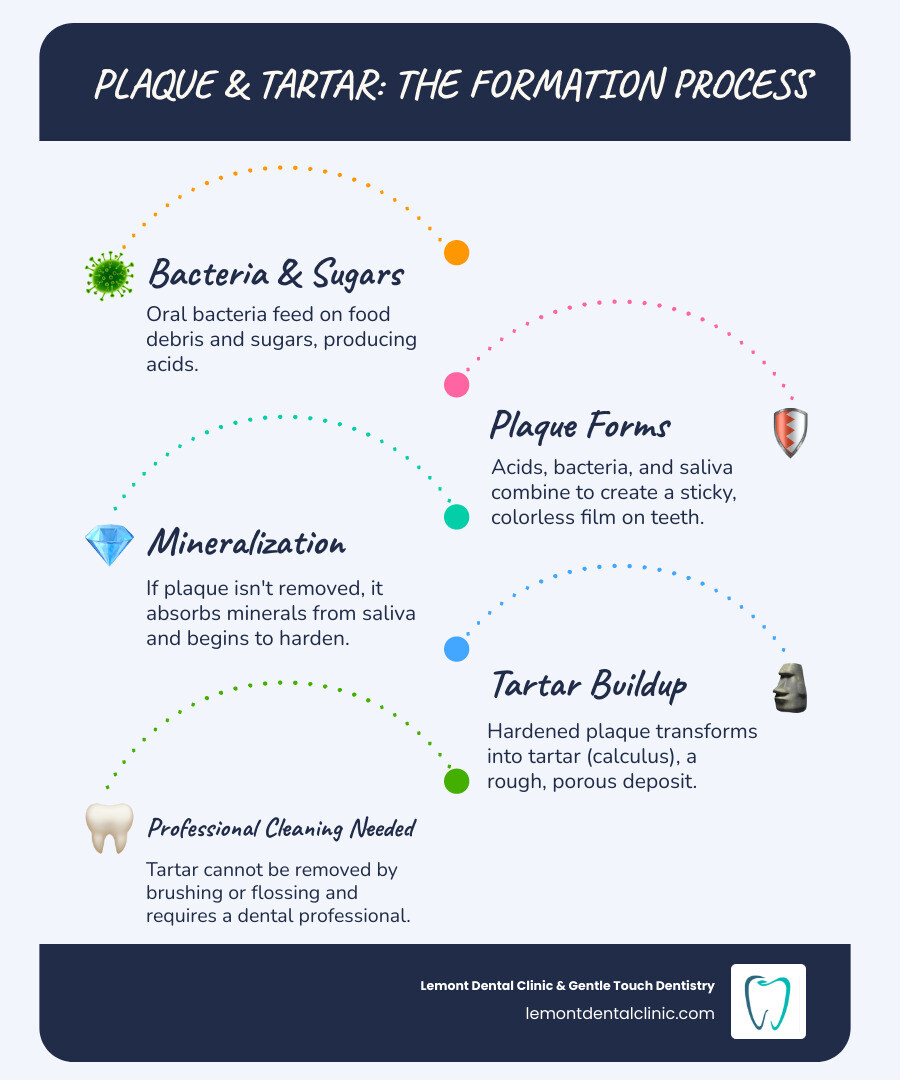 infographic showing the progression from plaque formation to tartar buildup, with illustrations of bacteria on tooth surfaces, plaque as a sticky film, and hardened tartar deposits above and below the gum line, plus the timeline of when each occurs - Dental cleaning infographic infographic-line-5-steps-blues-accent_colors