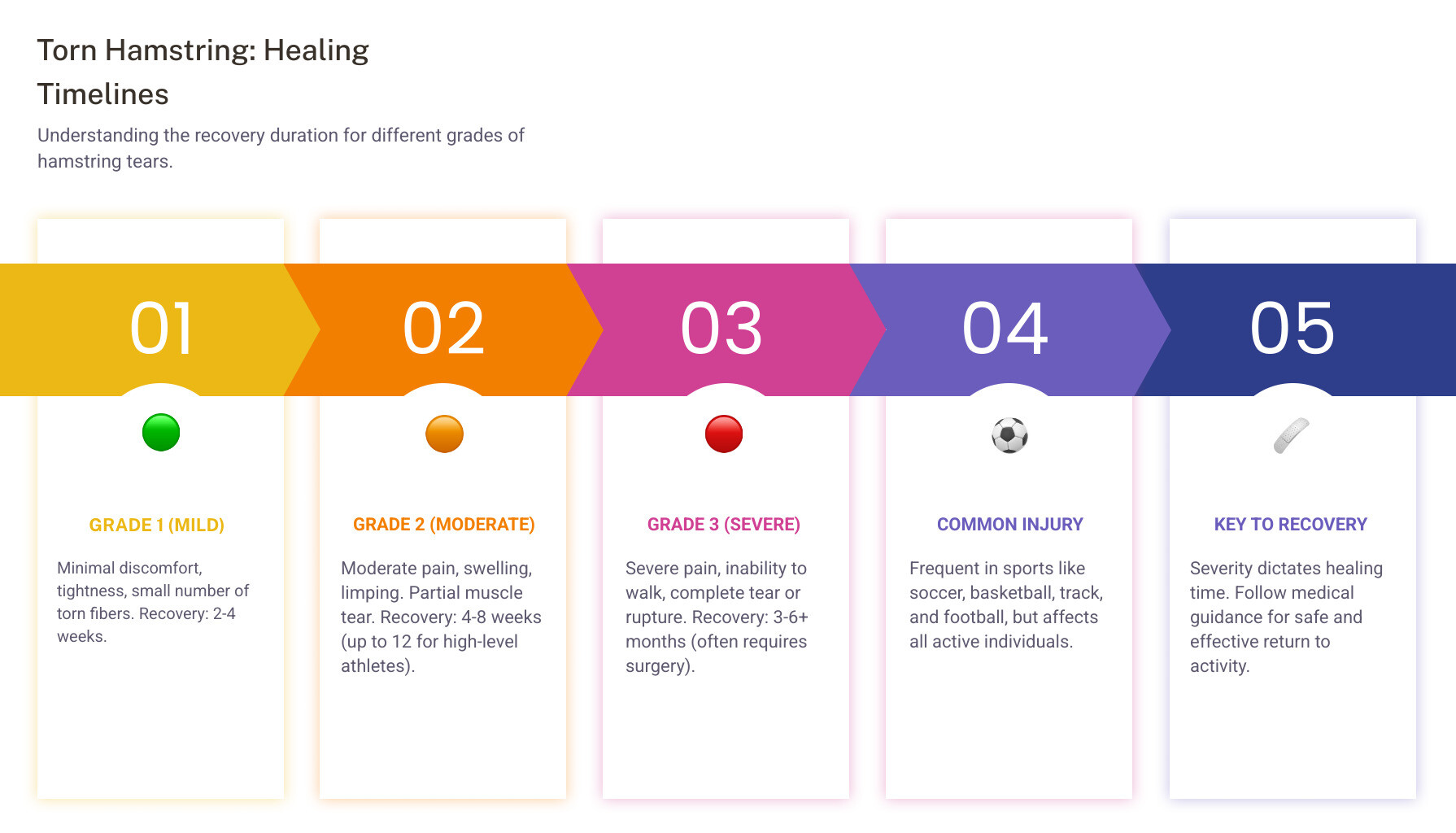 infographic showing the three hamstring muscles at the back of the thigh, labeled biceps femoris, semitendinosus, and semimembranosus, with three injury grades illustrated: Grade 1 showing minor fiber disruption, Grade 2 showing partial tear, and Grade 3 showing complete tear with visible gap - torn hamstring how long to heal infographic pillar-5-steps infographic showing the three hamstring muscles at the back of the thigh, labeled biceps femoris, semitendinosus, and semimembranosus, with three injury grades illustrated: Grade 1 showing minor fiber disruption, Grade 2 showing partial tear, and Grade 3 showing complete tear with visible gap - torn hamstring how long to heal infographic pillar-5-steps