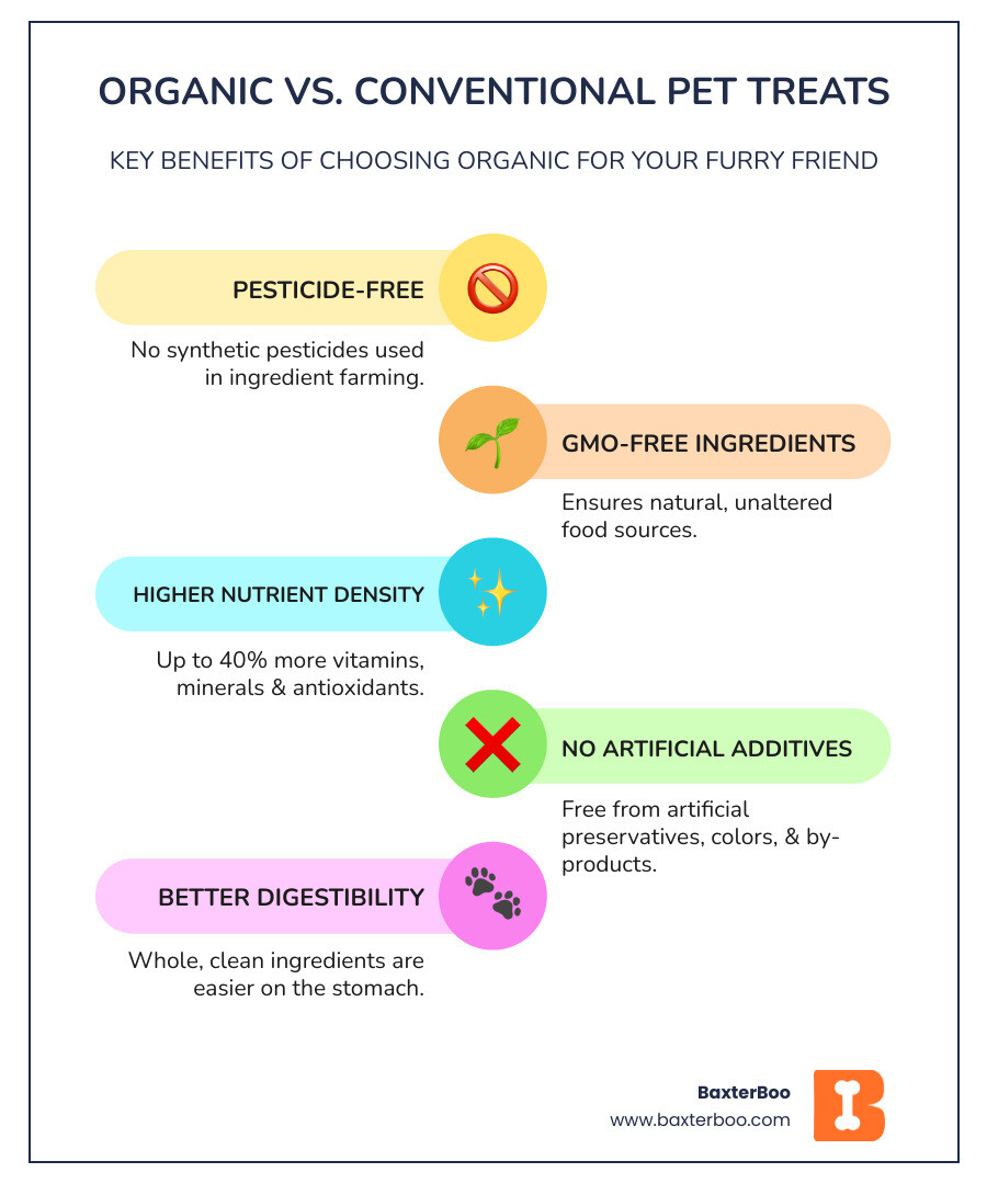 infographic showing benefits of organic vs conventional pet treats with icons for no synthetic pesticides, no GMOs, 40% more nutrients, no artificial preservatives, no meat by-products, and better digestibility - Best organic pet treats infographic infographic-line-5-steps-colors infographic showing benefits of organic vs conventional pet treats with icons for no synthetic pesticides, no GMOs, 40% more nutrients, no artificial preservatives, no meat by-products, and better digestibility - Best organic pet treats infographic infographic-line-5-steps-colors