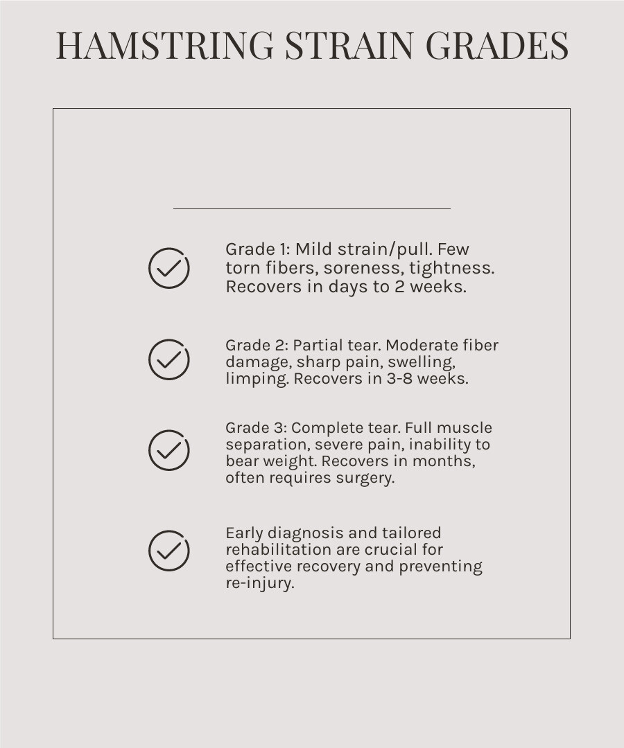 infographic showing three grades of hamstring strains with illustrations of muscle fibers for Grade 1 mild strain with few torn fibers, Grade 2 partial tear with moderate fiber damage and visible swelling, and Grade 3 complete tear with full muscle separation and significant bruising - exercises for pulled hamstring infographic checklist-light-beige