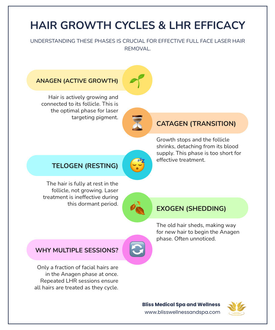 hair growth cycles - full face laser hair removal glendale az