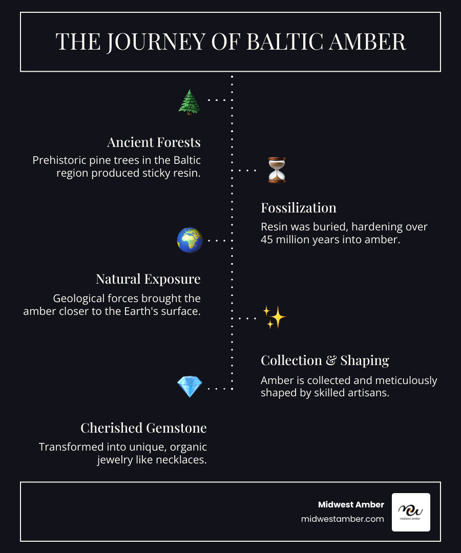 infographic explaining the journey of Baltic amber from ancient tree resin to a polished gemstone necklace - amber necklace for mom infographic infographic-line-5-steps-dark infographic explaining the journey of Baltic amber from ancient tree resin to a polished gemstone necklace - amber necklace for mom infographic infographic-line-5-steps-dark