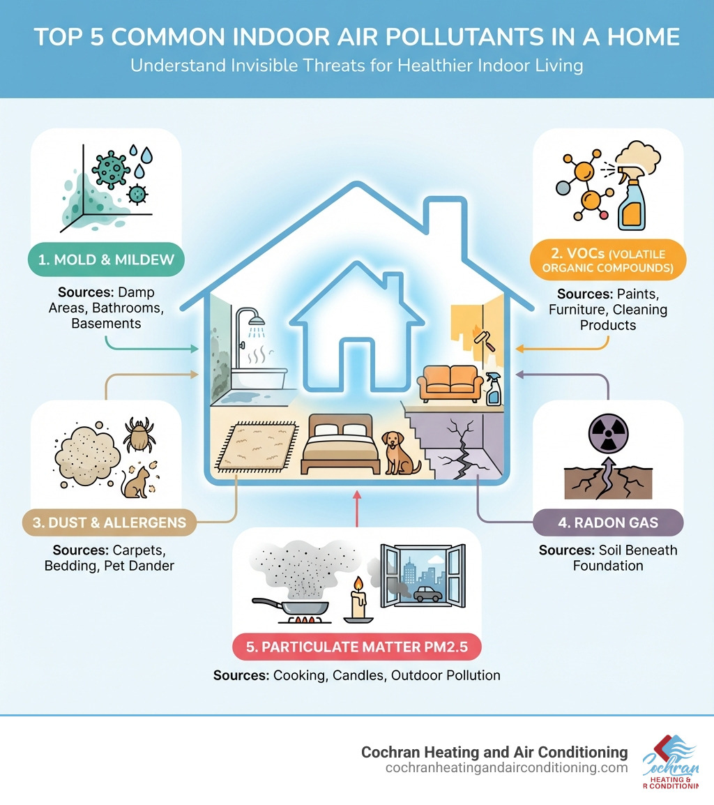 Infographic showing the top 5 common indoor air pollutants in a home: Mold and Mildew (from damp areas, bathrooms, basements), Volatile Organic Compounds or VOCs (from paints, furniture, cleaning products), Dust and Allergens (from carpets, bedding, pet dander), Radon Gas (from soil beneath foundation), and Particulate Matter PM2.5 (from cooking, candles, outdoor pollution entering through doors and windows) - house air quality testing infographic 