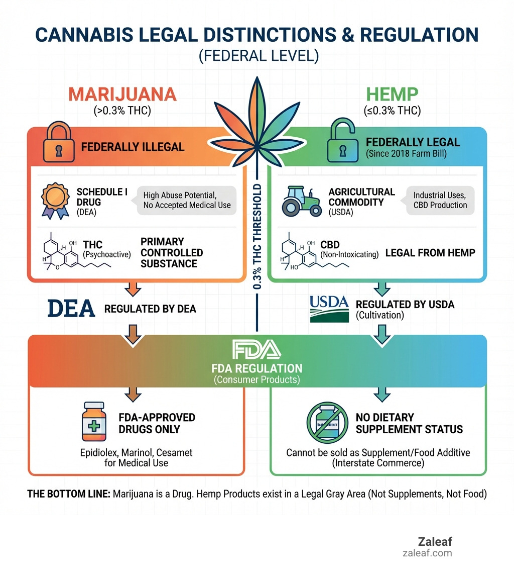 Infographic showing the legal distinctions between marijuana (cannabis with >0.3% THC, federally illegal, Schedule I drug), hemp (cannabis with ≤0.3% THC, federally legal since 2018 Farm Bill), THC (primary psychoactive compound, controlled substance), and CBD (non-intoxicating compound, legal from hemp but cannot be sold as supplement). Includes visual representation of the 0.3% THC threshold and regulatory bodies (DEA, FDA, USDA). - is cannabis a drug or supplement infographic Infographic showing the legal distinctions between marijuana (cannabis with >0.3% THC, federally illegal, Schedule I drug), hemp (cannabis with ≤0.3% THC, federally legal since 2018 Farm Bill), THC (primary psychoactive compound, controlled substance), and CBD (non-intoxicating compound, legal from hemp but cannot be sold as supplement). Includes visual representation of the 0.3% THC threshold and regulatory bodies (DEA, FDA, USDA). - is cannabis a drug or supplement infographic