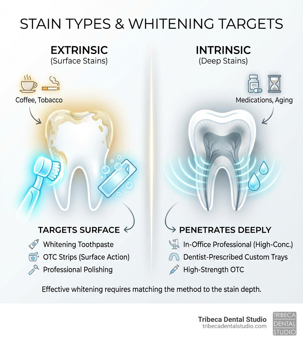 Infographic comparing extrinsic surface stains from coffee and tobacco versus intrinsic deep stains from medications and aging, showing how different whitening methods target each type - effective teeth whitening infographic 