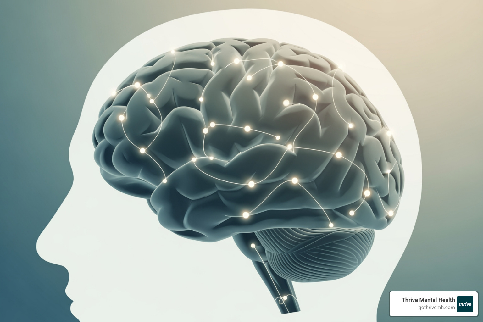 Brain healing illustration—rewiring after betrayal trauma - What are the best online therapy services that offer structured programs for dealing with betrayal trauma?