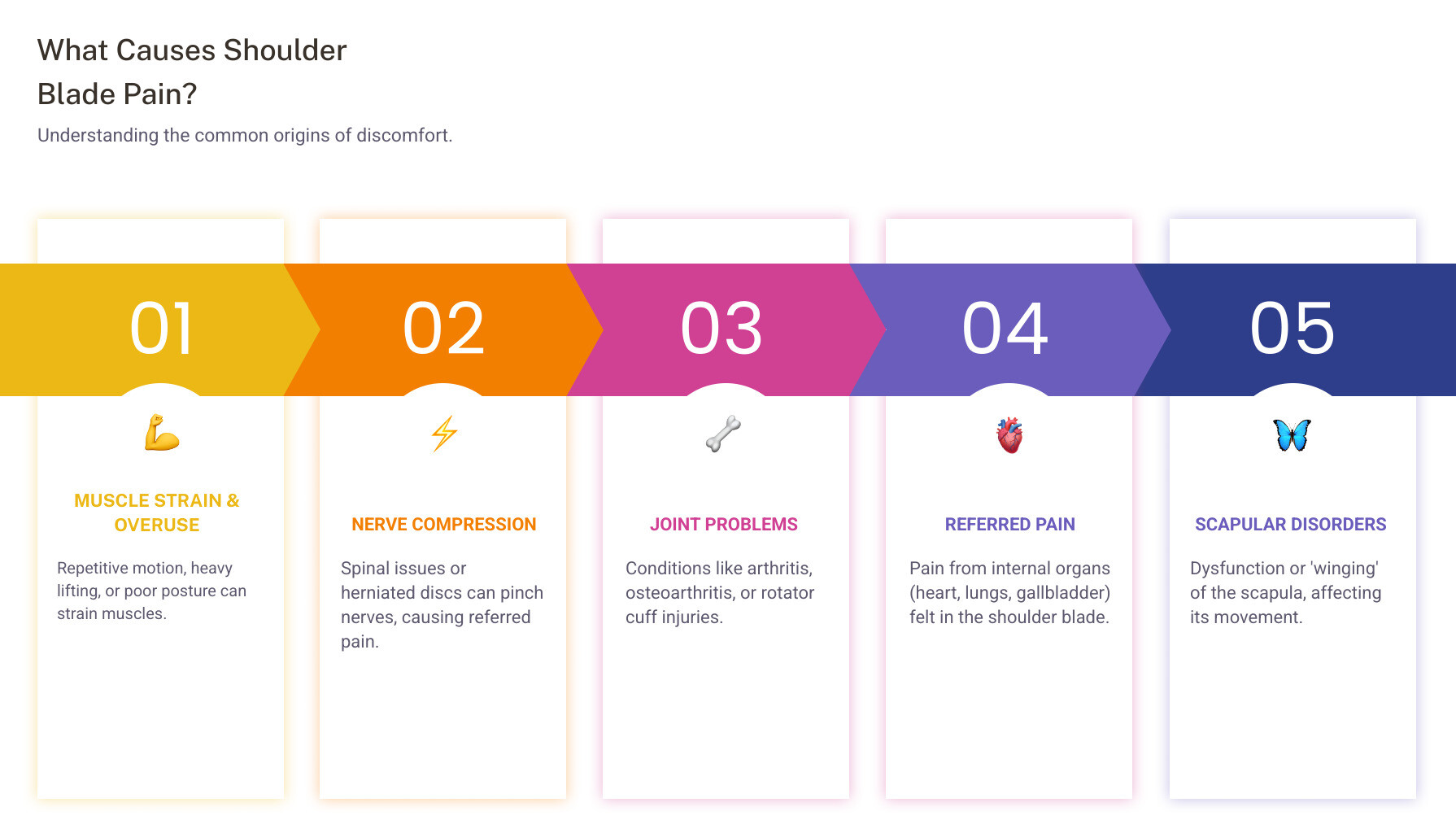 infographic showing scapula anatomy with trapezius, rhomboids, rotator cuff muscles, and common pain trigger points in the upper back - Shoulder blade pain infographic pillar-5-steps
