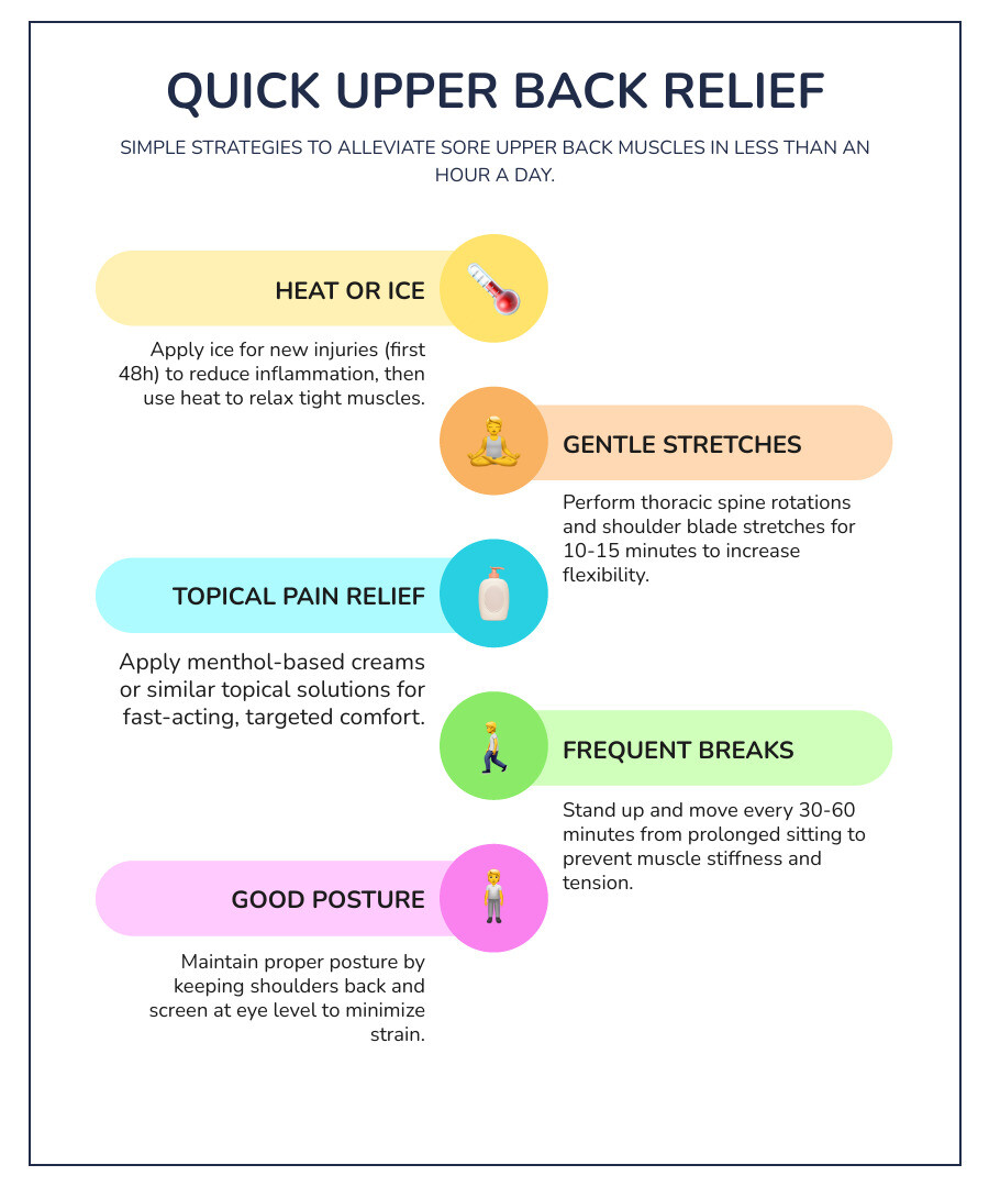 detailed infographic showing the anatomy of the upper back, including the thoracic spine vertebrae T1-T12, trapezius muscle, rhomboid major and minor muscles, latissimus dorsi, and erector spinae, with labels indicating common pain points between the shoulder blades - sore upper back muscles infographic infographic-line-5-steps-colors