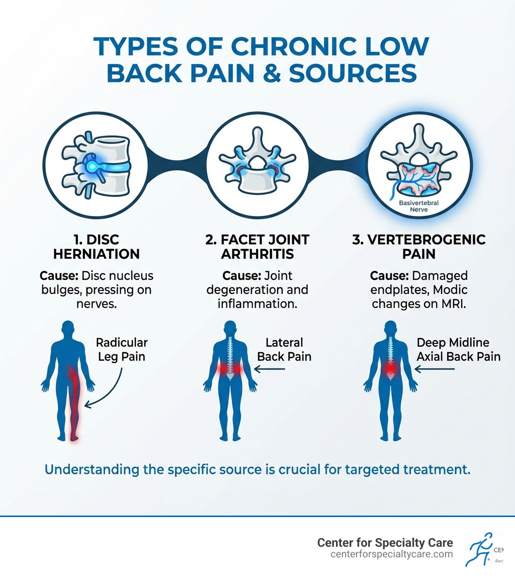 infographic showing three types of low back pain: disc herniation causing radicular leg pain, facet joint arthritis causing lateral back pain, and vertebrogenic pain from damaged endplates causing deep midline axial back pain, with Modic changes visible on MRI - basivertebral nerve ablation infographic 