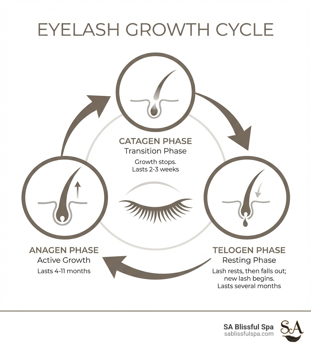 Best Eyelash Care Tips: 5 Key Insights for Eyelash Care