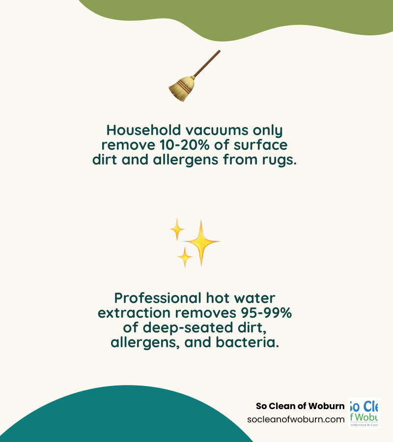 Infographic comparing household vacuum effectiveness versus professional deep cleaning: Household vacuum removes 10-20% of embedded dirt and allergens from surface fibers only, while professional hot water extraction removes 95-99% of embedded dirt, allergens, dust mites, and bacteria from deep within rug fibers using heated water at 190°F, specialized equipment, and proper drying techniques - rug cleaning arlington ma infographic 2_facts_emoji_nature Infographic comparing household vacuum effectiveness versus professional deep cleaning: Household vacuum removes 10-20% of embedded dirt and allergens from surface fibers only, while professional hot water extraction removes 95-99% of embedded dirt, allergens, dust mites, and bacteria from deep within rug fibers using heated water at 190°F, specialized equipment, and proper drying techniques - rug cleaning arlington ma infographic 2_facts_emoji_nature
