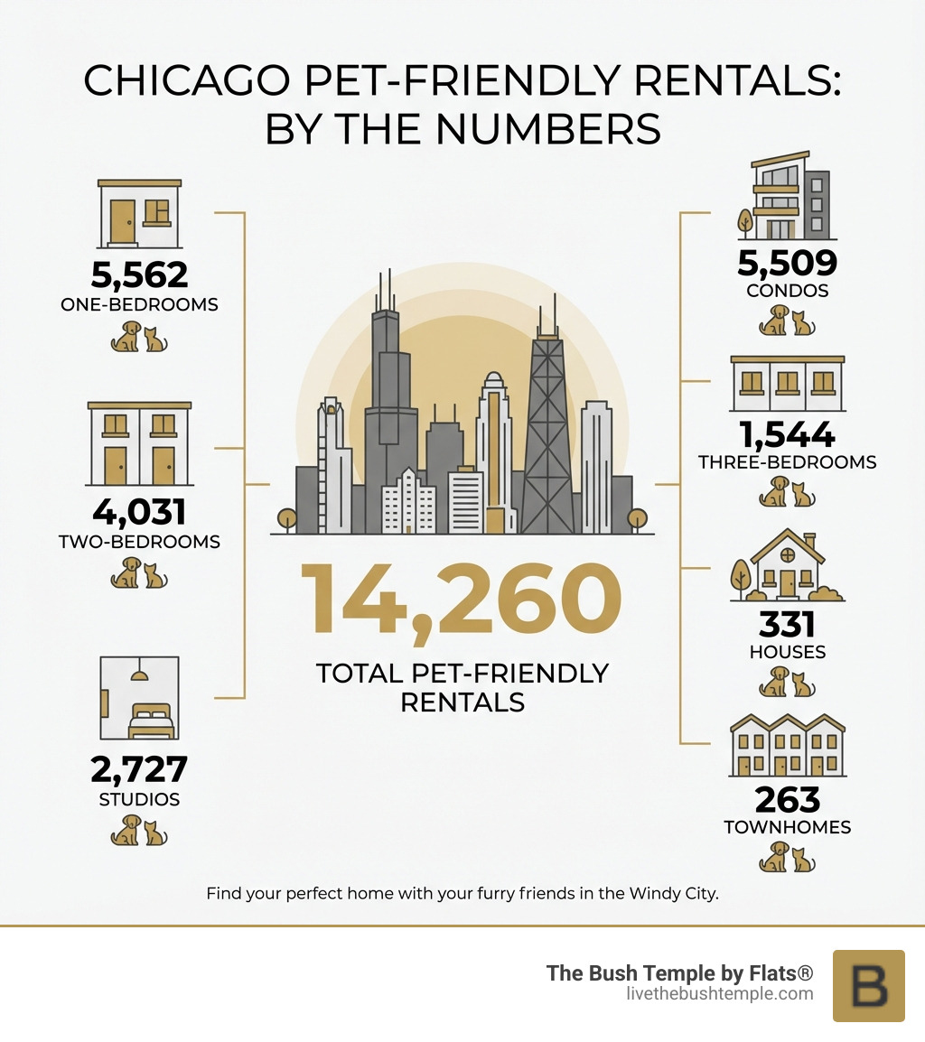 Infographic showing Chicago pet-friendly rental statistics: 14,260 total rentals broken down by type - 5,562 one-bedrooms, 4,031 two-bedrooms, 2,727 studios, 5,509 condos, 1,544 three-bedrooms, 331 houses, and 263 townhomes. Visual includes icons of apartment buildings and pets with Chicago skyline silhouette. - Pet-friendly apartments Chicago infographic 