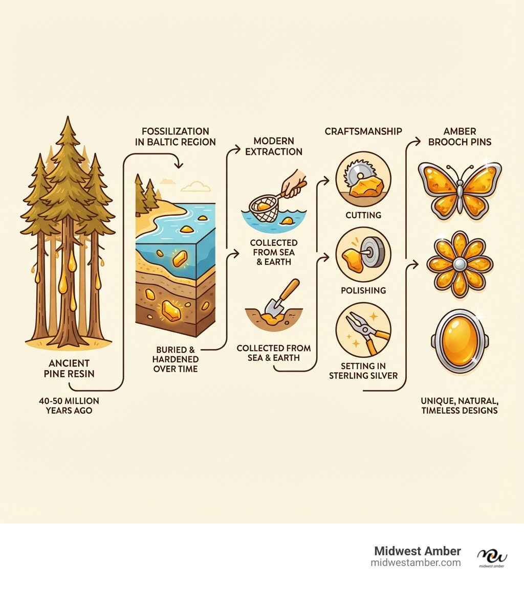 Infographic showing the journey of amber from ancient tree resin 40-50 million years ago through fossilization in the Baltic Sea region to modern handcrafted jewelry, with illustrations of pine trees, amber deposits, mining, cutting and polishing, setting in sterling silver, and final brooch designs in various styles - amber brooch pin infographic 
