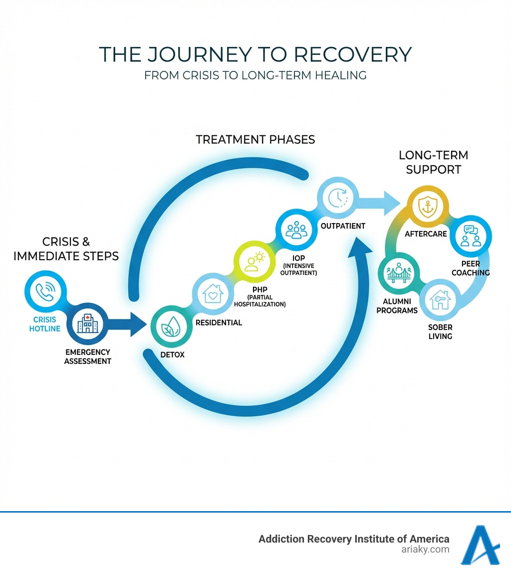 Infographic showing the journey from crisis to recovery, including immediate steps (crisis hotline, emergency assessment), treatment phases (detox, residential, PHP, IOP, outpatient), and long-term support (aftercare, peer coaching, alumni programs, sober living) - Louisville addiction help infographic 