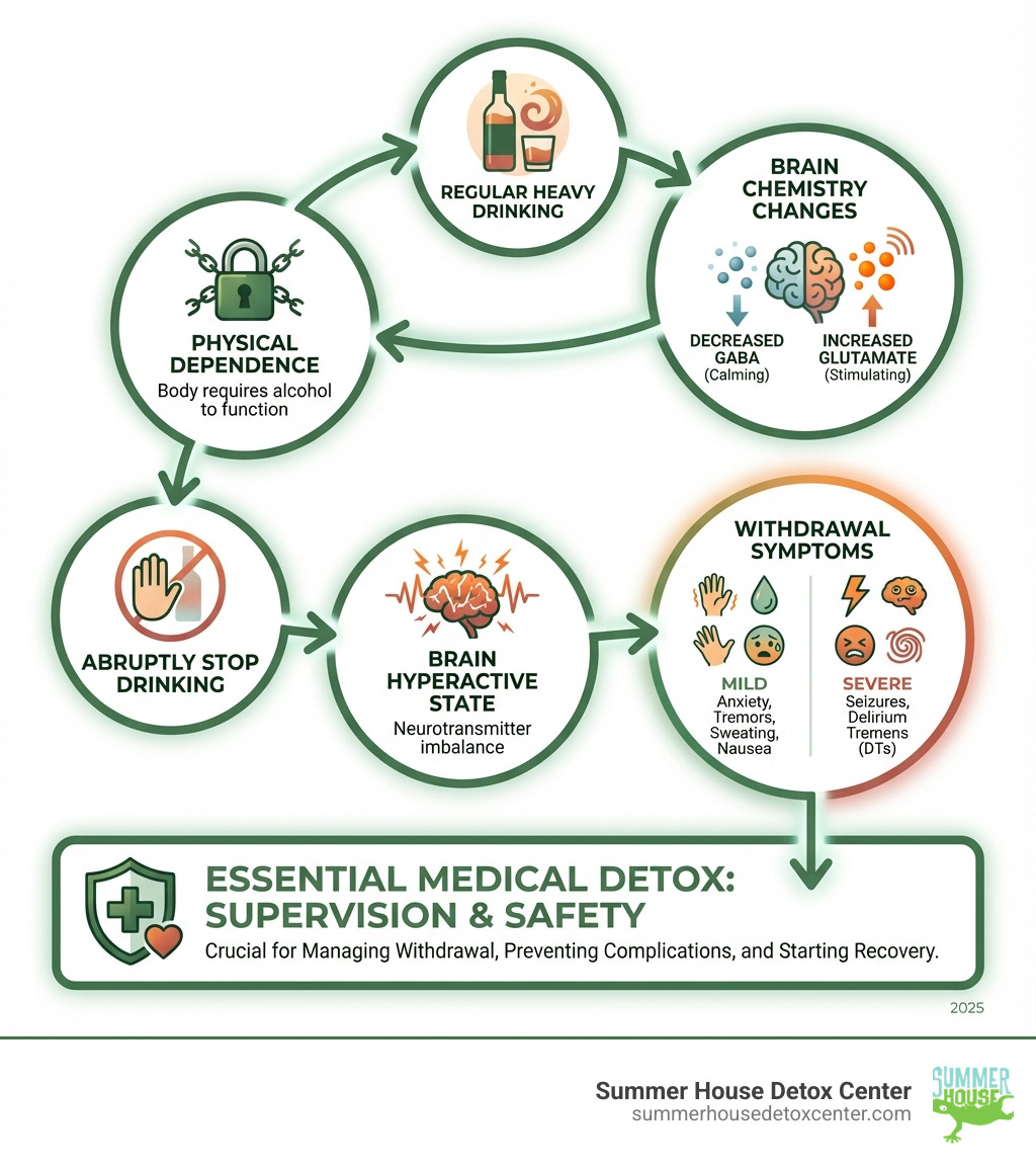 Infographic showing the cycle of alcohol dependence: regular heavy drinking leads to brain chemistry changes (decreased GABA, increased glutamate), which creates physical dependence, and when drinking stops abruptly, the brain enters a hyperactive state causing withdrawal symptoms ranging from mild anxiety and tremors to severe seizures and delirium tremens, illustrating why medical detox is essential for safety - alcoholism and detox infographic Infographic showing the cycle of alcohol dependence: regular heavy drinking leads to brain chemistry changes (decreased GABA, increased glutamate), which creates physical dependence, and when drinking stops abruptly, the brain enters a hyperactive state causing withdrawal symptoms ranging from mild anxiety and tremors to severe seizures and delirium tremens, illustrating why medical detox is essential for safety - alcoholism and detox infographic