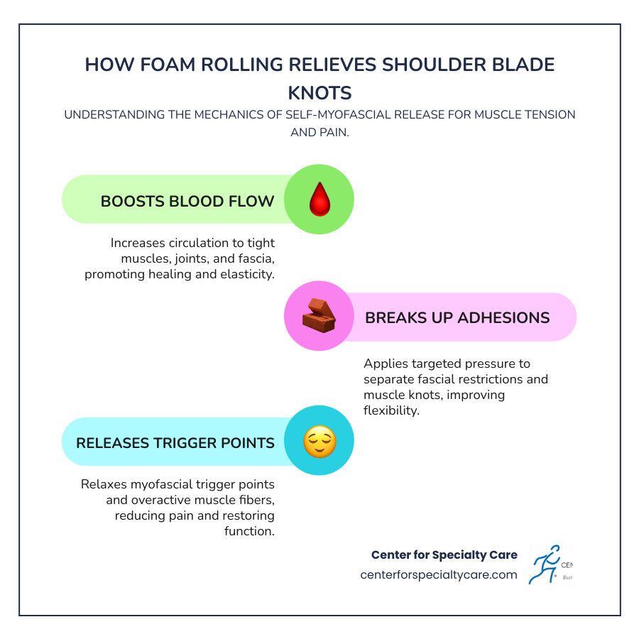Infographic showing the anatomy of shoulder blade knots, including the rhomboids, trapezius, and lats, with arrows indicating how foam rolling increases blood flow, breaks up adhesions, and releases trigger points through self-myofascial release - foam roller for shoulder blade knots infographic infographic-line-3-steps-colors