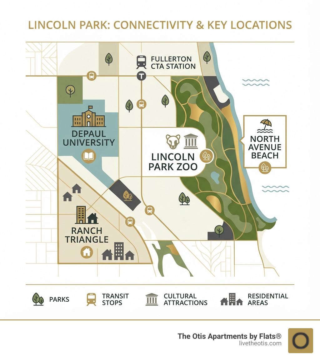Infographic showing a map of Lincoln Park with key locations including Lincoln Park Zoo at the center, DePaul University to the west, North Avenue Beach along Lake Michigan to the east, Fullerton CTA station, and the RANCH Triangle area. Icons indicate parks, transit stops, cultural attractions, and residential areas throughout the neighborhood. - lincoln park apartment buildings infographic 