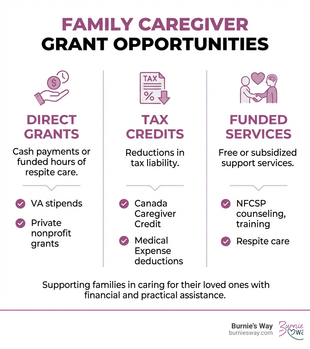 infographic showing three columns: Direct Grants (cash payments or funded hours of respite care, examples include VA stipends and private nonprofit grants), Tax Credits (reductions in tax liability, examples include Canada Caregiver Credit and Medical Expense deductions), and Funded Services (free or subsidized support services, examples include NFCSP counseling, training, and respite care) - family caregiver grants infographic 
