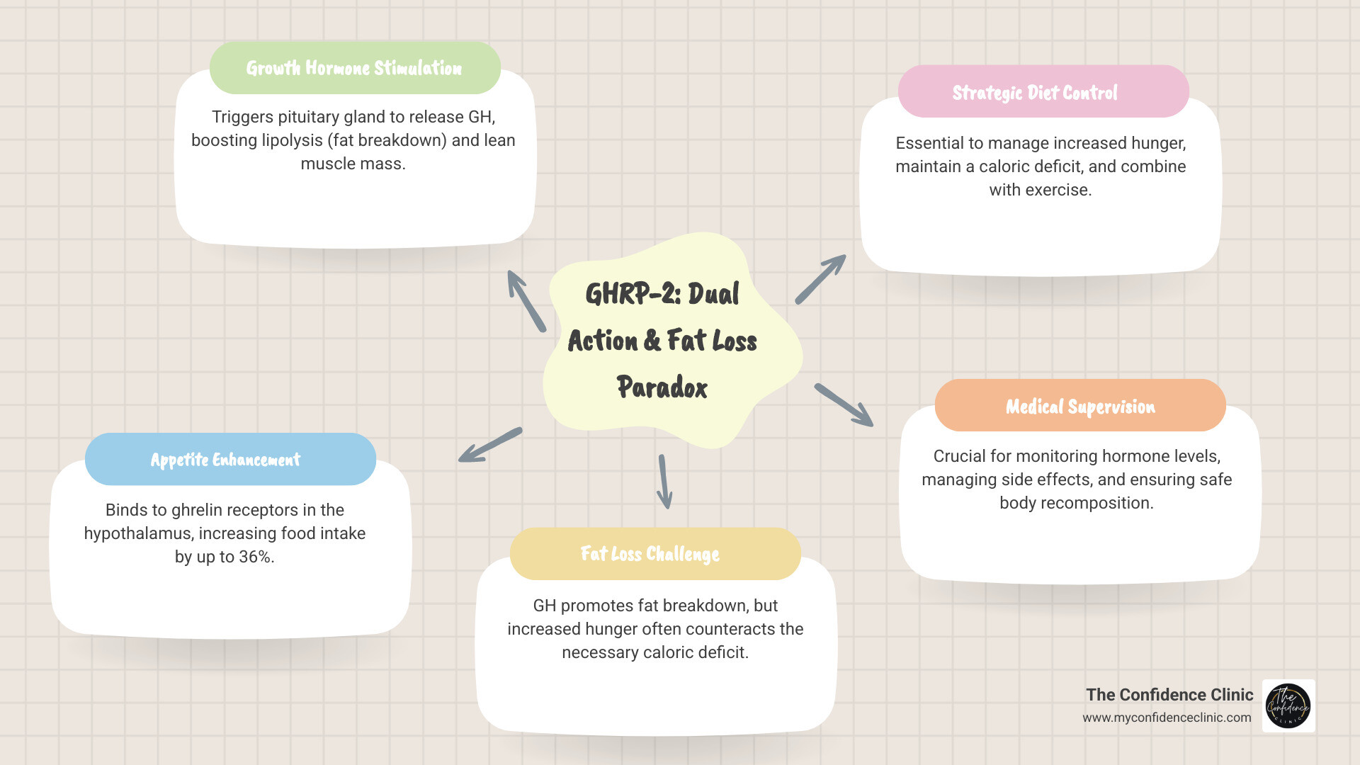 Infographic showing GHRP-2's dual mechanism: On the left, GHRP-2 binding to GHS-R1a receptors in the pituitary gland, triggering growth hormone release which then promotes lipolysis in fat cells and increases lean muscle mass. On the right, GHRP-2 binding to ghrelin receptors in the hypothalamus, stimulating appetite centers and increasing hunger signals, resulting in elevated food intake. The center shows a balance scale illustrating that successful GHRP 2 fat loss requires managing both pathways through strategic timing, dietary control, and medical supervision. - ghrp 2 fat loss infographic mindmap-5-items Infographic showing GHRP-2's dual mechanism: On the left, GHRP-2 binding to GHS-R1a receptors in the pituitary gland, triggering growth hormone release which then promotes lipolysis in fat cells and increases lean muscle mass. On the right, GHRP-2 binding to ghrelin receptors in the hypothalamus, stimulating appetite centers and increasing hunger signals, resulting in elevated food intake. The center shows a balance scale illustrating that successful GHRP 2 fat loss requires managing both pathways through strategic timing, dietary control, and medical supervision. - ghrp 2 fat loss infographic mindmap-5-items