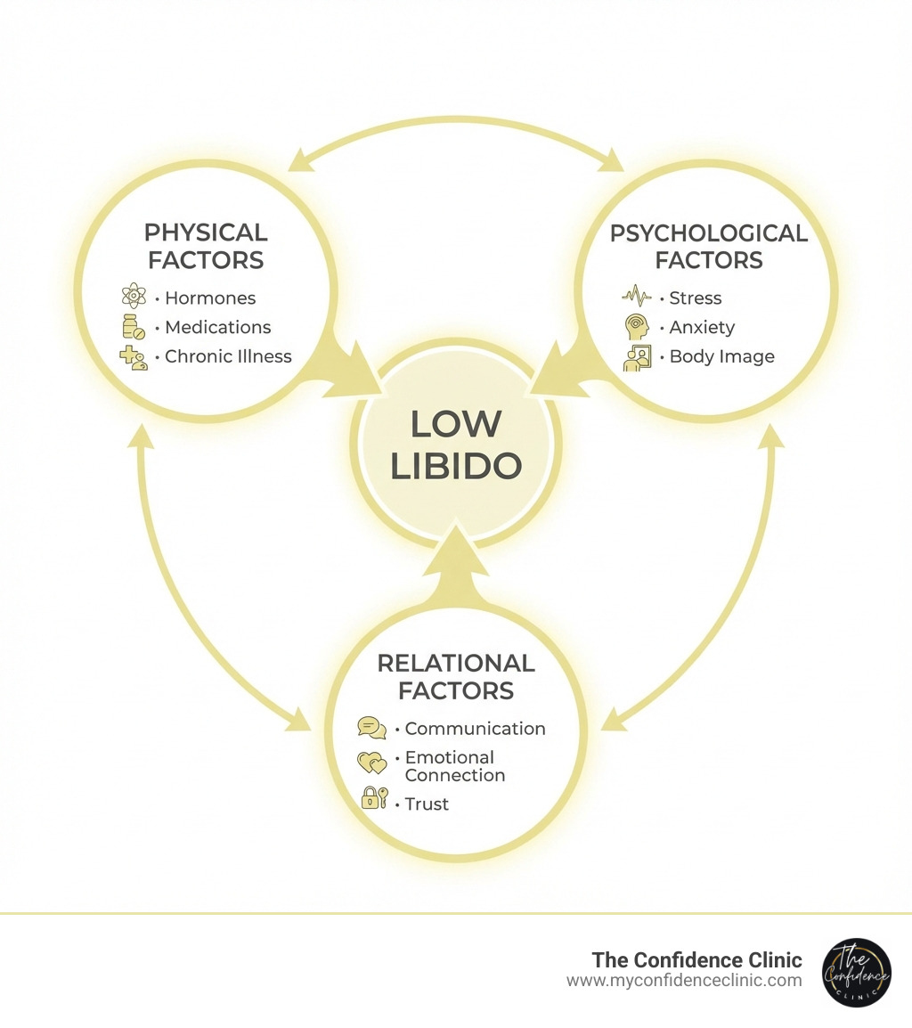 infographic showing the cycle of female low libido with three interconnected circles labeled Physical Factors (hormones, medications, chronic illness), Psychological Factors (stress, anxiety, body image), and Relational Factors (communication, emotional connection, trust) all pointing to Low Libido in the center - Female low libido infographic infographic showing the cycle of female low libido with three interconnected circles labeled Physical Factors (hormones, medications, chronic illness), Psychological Factors (stress, anxiety, body image), and Relational Factors (communication, emotional connection, trust) all pointing to Low Libido in the center - Female low libido infographic