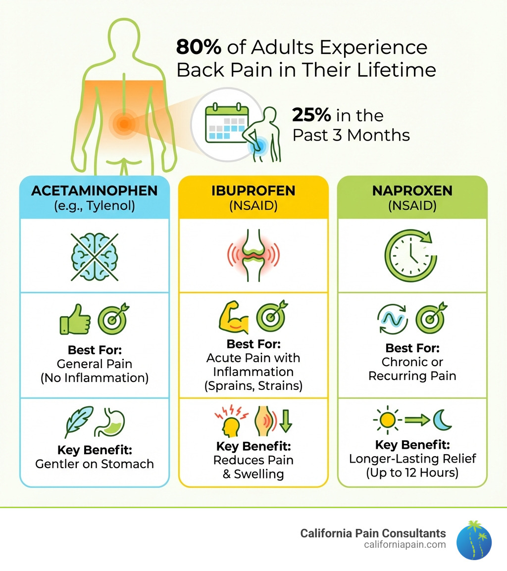 infographic showing 80% of adults experience back pain, 25% in past 3 months, with breakdown of acetaminophen for general pain, ibuprofen for inflammation, and naproxen for longer relief - over the counter pain killers for back pain infographic 