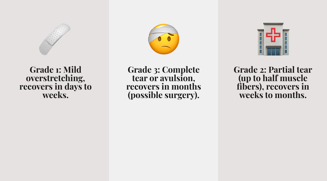 Infographic explaining the three grades of a hamstring strain with typical recovery times - stretching exercises for a pulled hamstring infographic 3_facts_emoji_grey Infographic explaining the three grades of a hamstring strain with typical recovery times - stretching exercises for a pulled hamstring infographic 3_facts_emoji_grey