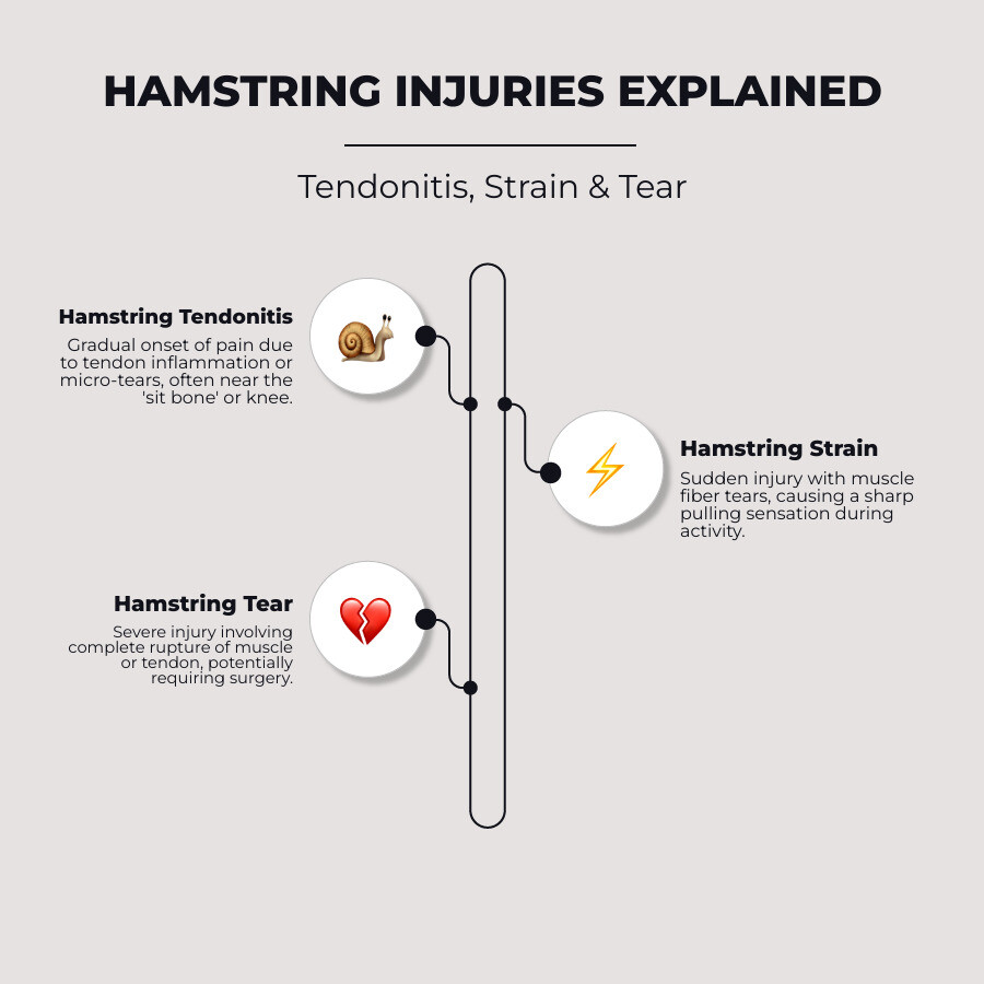 Infographic comparing hamstring tendonitis (gradual onset, tendon inflammation, pain near sit bone or knee), hamstring strain (sudden injury, muscle fiber tears, sharp pulling sensation), and hamstring tear (severe injury, complete muscle or tendon rupture, may require surgery) - hamstring tendonitis infographic infographic-line-3-steps-elegant_beige