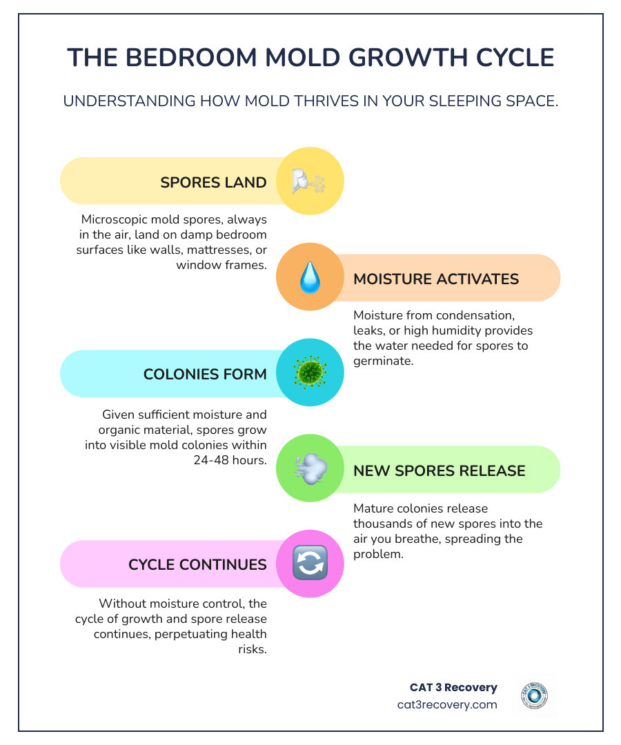 Infographic showing the mold growth cycle in bedrooms: microscopic spores land on damp surfaces like walls, mattresses, or window frames; moisture from condensation or leaks allows colonies to form within 24-48 hours; mature colonies release thousands of new spores into the air you breathe while sleeping; without moisture control, the cycle continues and spreads - dangers of mould in bedroom infographic infographic-line-5-steps-colors Infographic showing the mold growth cycle in bedrooms: microscopic spores land on damp surfaces like walls, mattresses, or window frames; moisture from condensation or leaks allows colonies to form within 24-48 hours; mature colonies release thousands of new spores into the air you breathe while sleeping; without moisture control, the cycle continues and spreads - dangers of mould in bedroom infographic infographic-line-5-steps-colors