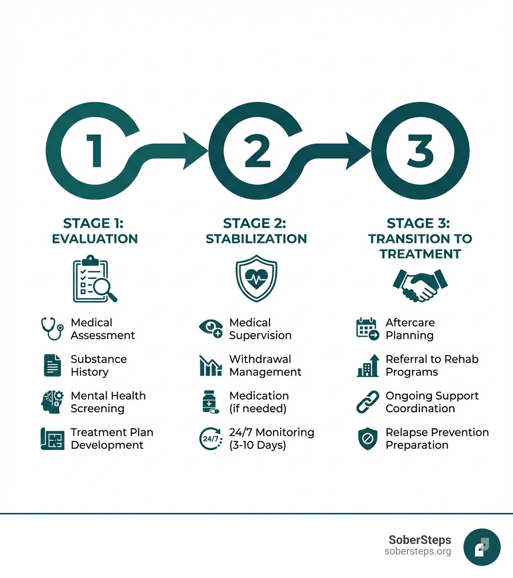 Infographic showing the 3 stages of medical detox: Stage 1 - Evaluation (medical assessment, substance history, mental health screening, treatment plan development), Stage 2 - Stabilization (medical supervision, withdrawal management, medication if needed, 24/7 monitoring for 3-10 days), Stage 3 - Transition to Treatment (aftercare planning, referral to rehab programs, ongoing support coordination, relapse prevention preparation) - detox near me infographic 