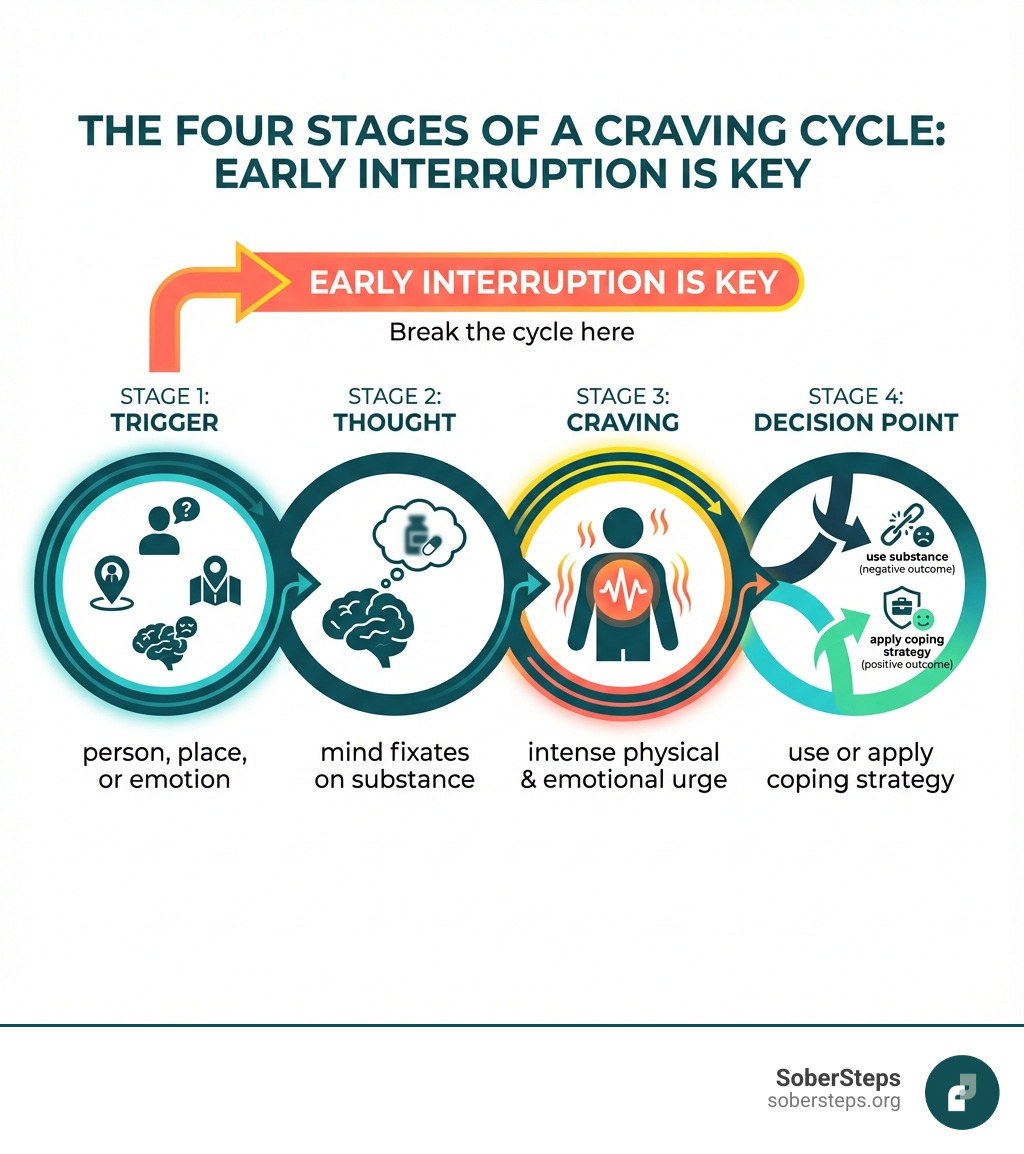 Infographic showing the four stages of a craving: Stage 1 - Trigger (person, place, or emotion), Stage 2 - Thought (mind fixates on substance), Stage 3 - Craving (intense physical and emotional urge), Stage 4 - Decision Point (use or apply coping strategy). Early interruption is key. - Help with cravings infographic Infographic showing the four stages of a craving: Stage 1 - Trigger (person, place, or emotion), Stage 2 - Thought (mind fixates on substance), Stage 3 - Craving (intense physical and emotional urge), Stage 4 - Decision Point (use or apply coping strategy). Early interruption is key. - Help with cravings infographic