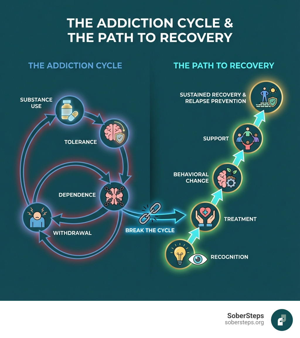infographic showing the cycle of addiction (substance use leading to tolerance, dependence, withdrawal, and repeated use) alongside the path to recovery (recognition, treatment, behavioral change, support, and sustained recovery with relapse prevention) - drug rehab infographic 