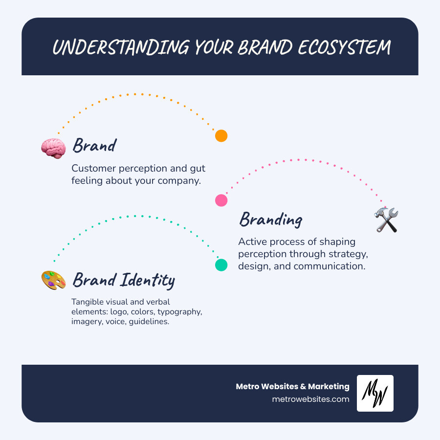 infographic showing the difference between brand, branding, and brand identity - Brand identity design services infographic infographic-line-3-steps-blues-accent_colors