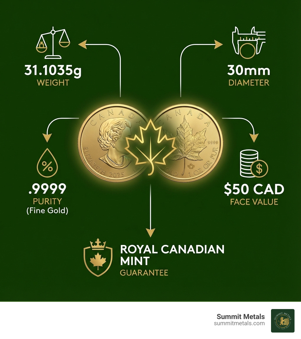Infographic showing 1 oz Gold Maple Leaf specifications: 31.1035g weight, .9999 purity, 30mm diameter, $50 CAD face value, and Royal Canadian Mint guarantee - 1 oz canadian maple leaf gold coin in grams infographic 
