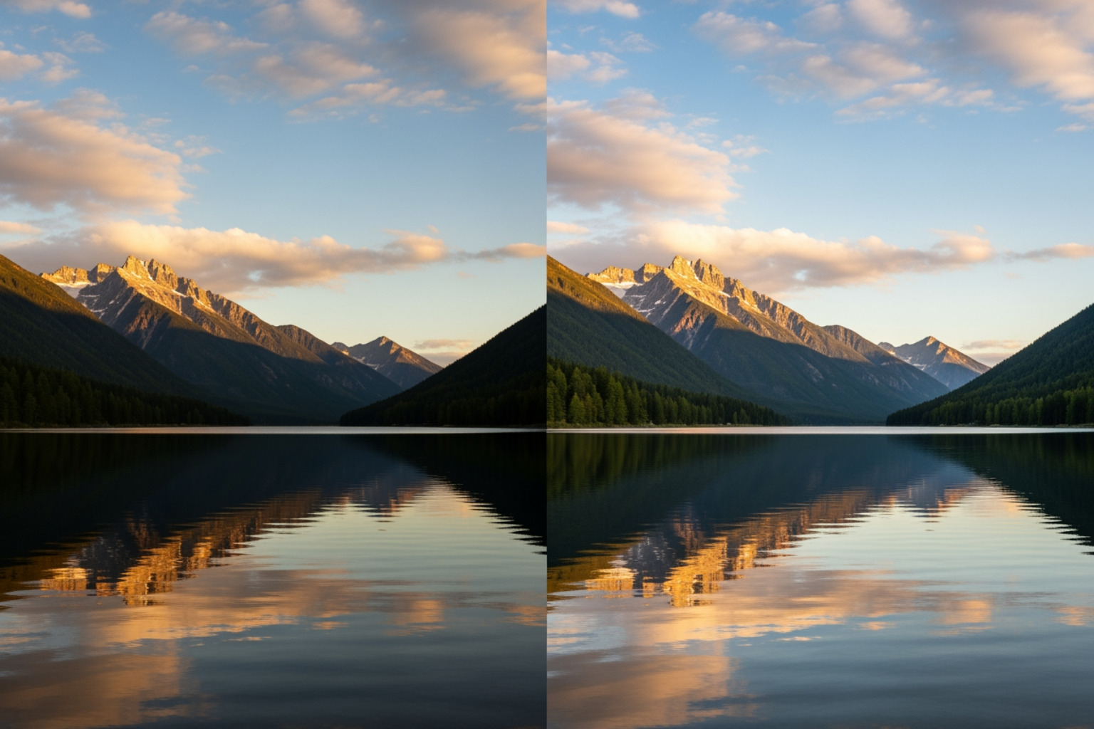 image comparing the visual quality of a lossy vs. lossless compressed photo - image optimization tools