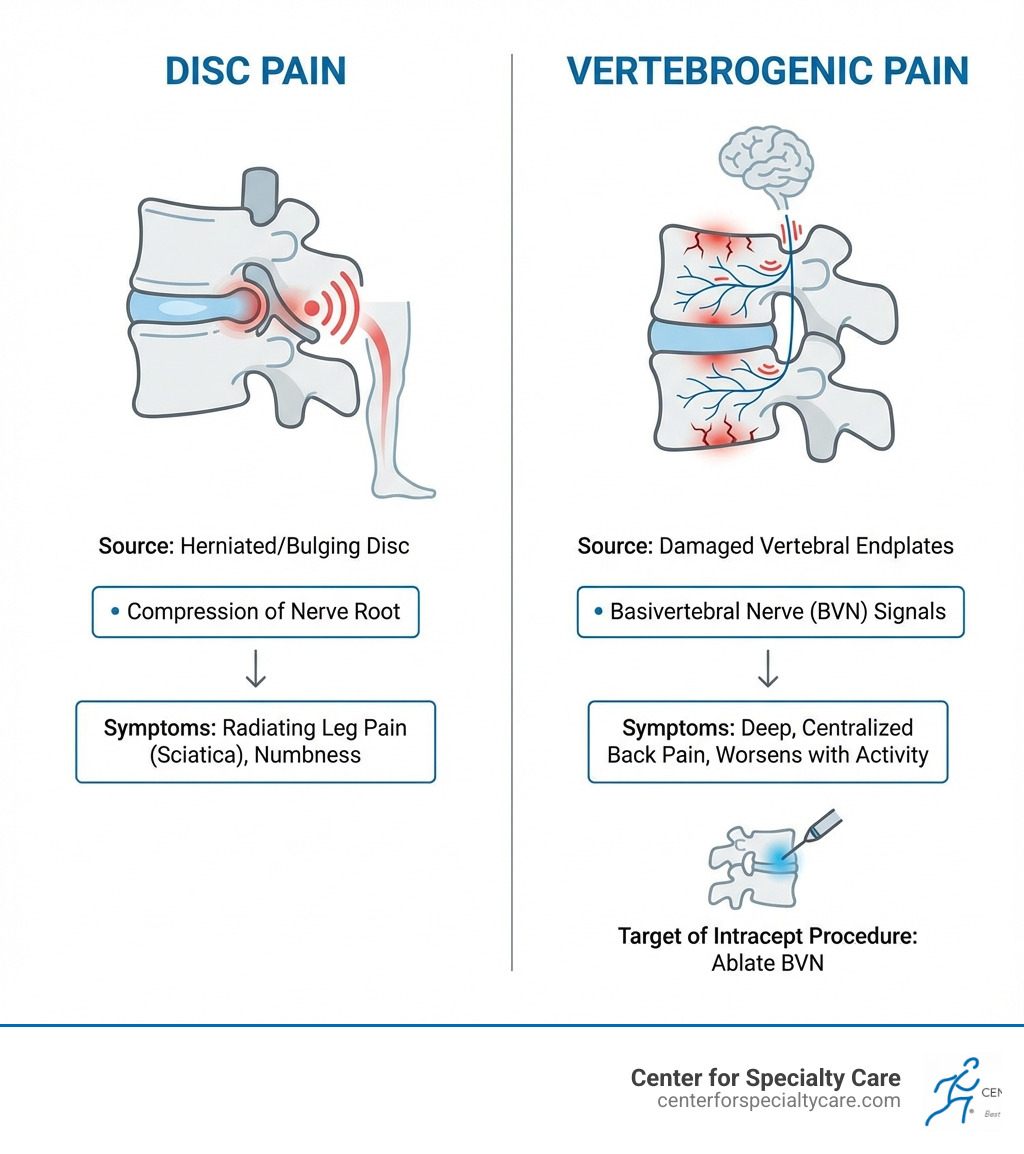 infographic explaining the difference between disc pain and vertebrogenic pain - intracept procedure near me infographic 