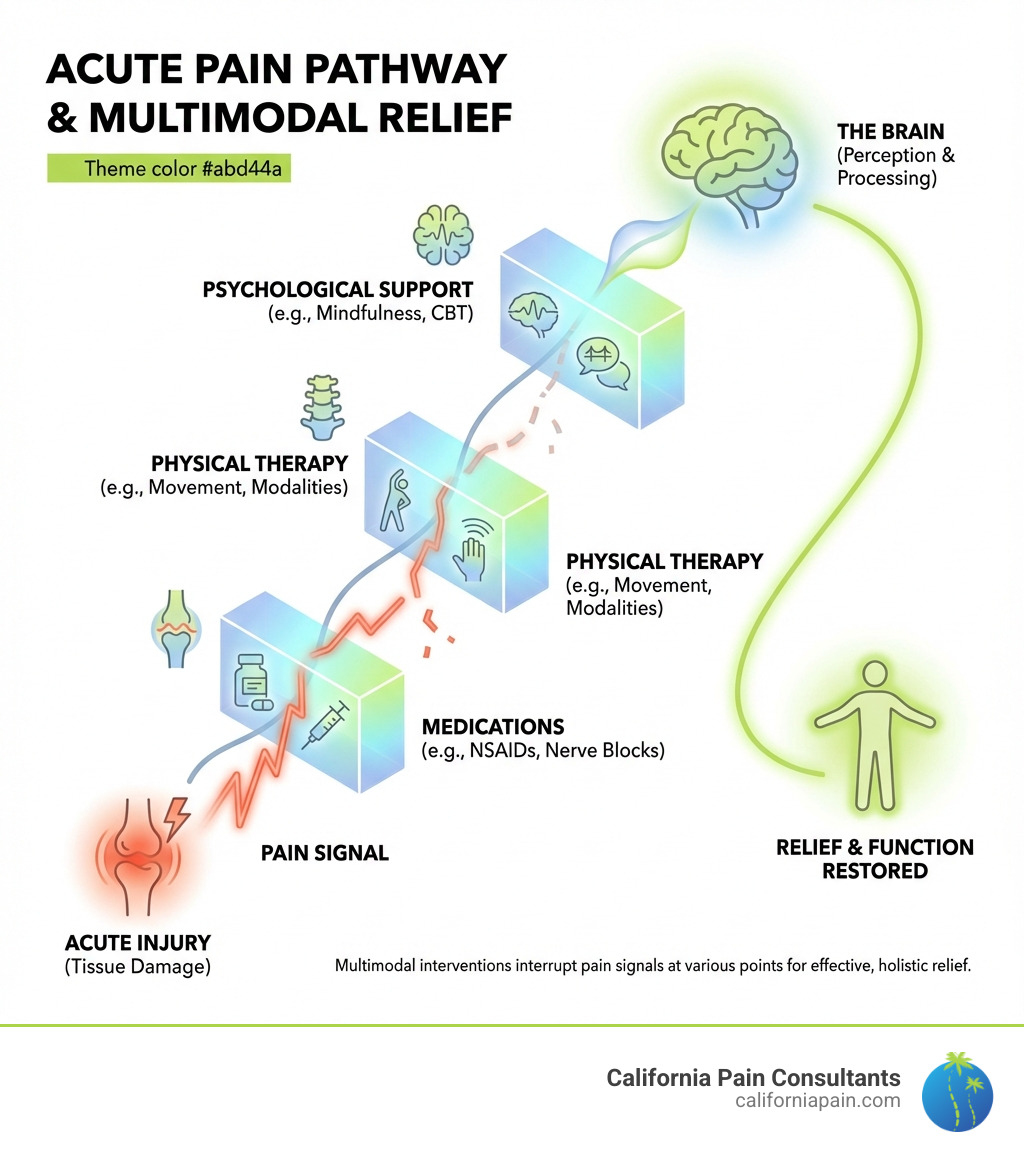 Infographic showing the pathway from acute injury through pain signals to the brain, and the multimodal interventions (medications, physical therapy, psychological support) that interrupt these signals to provide relief - acute pain management strategies infographic 