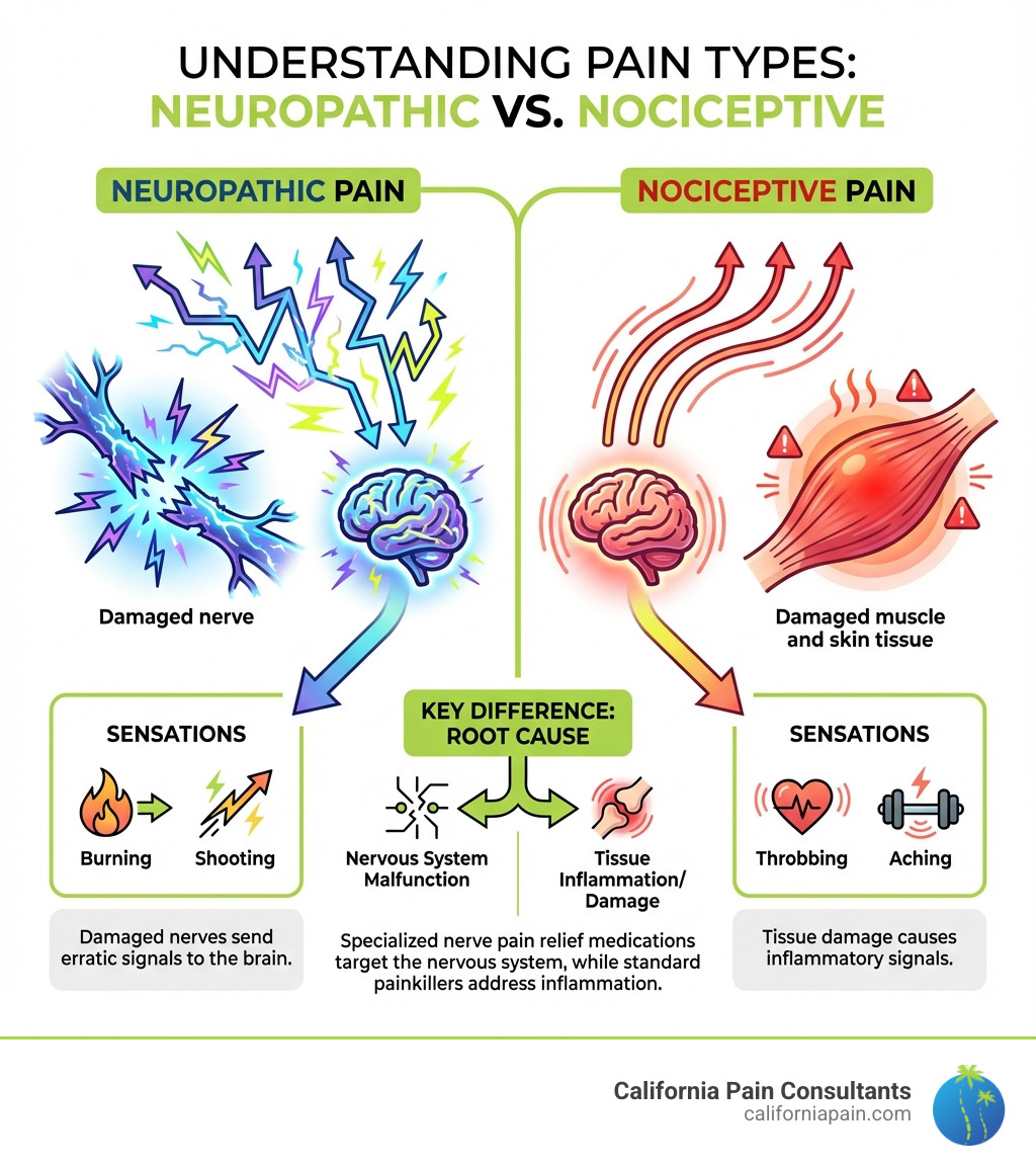 Infographic showing the difference between neuropathic pain (damaged nerves sending erratic signals to the brain, causing burning or shooting sensations) and nociceptive pain (tissue damage causing inflammatory signals, resulting in aching or throbbing pain) - nerve pain relief medications infographic 